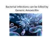 Bacterial Infections are killed by Generic Amoxicillin