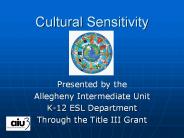 Cultural Sensitivity