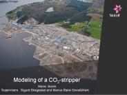 Modeling of a CO2-stripper