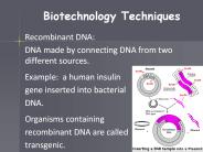 Biotechnology Techniques