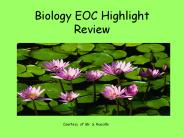 Biology%20EOC%20Highlight%20Review