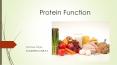 Protein Function PowerPoint PPT Presentation