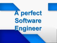 A perfect Software Engineer