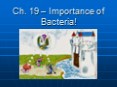 Ch. 19  PowerPoint PPT Presentation