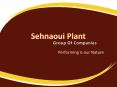 Sehnaoui Plant - Market Leader in Construction Equipment PowerPoint PPT Presentation