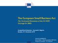 The European Small Business Act The Territorial Dimension of the EU 2020 Strategy for SMEs PowerPoint PPT Presentation