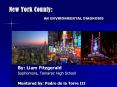 New York County:            AN ENVIRONMENTAL DIAGNOSIS PowerPoint PPT Presentation
