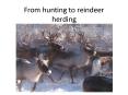 From hunting to reindeer herding PowerPoint PPT Presentation