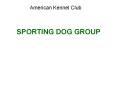 SPORTING DOG GROUP PowerPoint PPT Presentation
