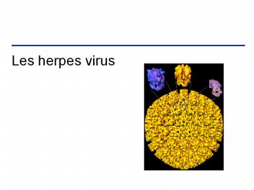 Les herpes virus