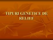 TIPURI%20GENETICE%20DE%20RELIEF