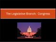 The Legislative Branch: Congress PowerPoint PPT Presentation