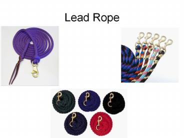 Lead Rope