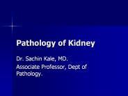 Pathology of Kidney