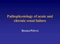 Pathophysiology%20of%20acute%20and%20chronic%20renal%20failure PowerPoint PPT Presentation