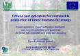 Criteria and indicators for sustainable production of forest biomass for energy  Forest legislation, forest certification standards, and recommendations and guidelines for forest fuel extraction and wood ash recycling Inge Stupak M PowerPoint PPT Presentation