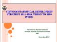 VIETNAM STATISTICAL DEVELOPMET STRATEGY 2011-2020, VISION TO 2030 (VSDS) PowerPoint PPT Presentation