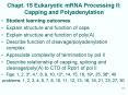 Chapt. 15 Eukaryotic mRNA Processing II: Capping and Polyadenylation PowerPoint PPT Presentation