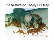 The Restoration Theory Of Sleep