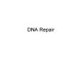DNA Repair PowerPoint PPT Presentation