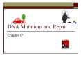 DNA%20Mutations%20and%20Repair PowerPoint PPT Presentation