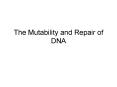 The Mutability and Repair of DNA PowerPoint PPT Presentation