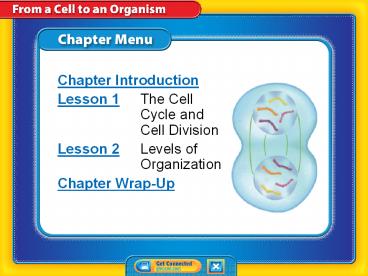 presentation player overlay
