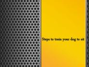 Steps to train your dog to sit