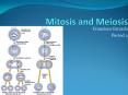 Mitosis and Meiosis PowerPoint PPT Presentation