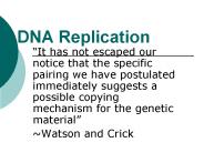 DNA Replication