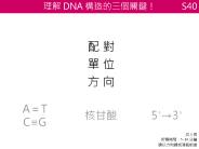 BC basic - from big bang