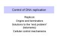 Control of DNA replication PowerPoint PPT Presentation