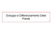 Sviluppo e Differenziamento Delle Piante