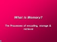 What is Memory? PowerPoint PPT Presentation