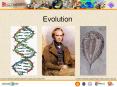 Evolution PowerPoint PPT Presentation