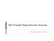 The Female Reproductive System