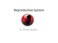 Reproductive System PowerPoint PPT Presentation