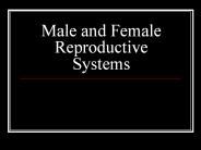 Male and Female Reproductive Systems