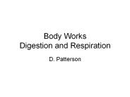 Body Works Digestion and Respiration