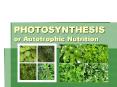 PHOTOSYNTHESIS or Autotrophic Nutrition PowerPoint PPT Presentation