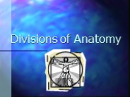 Divisions of Anatomy