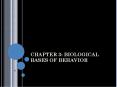 CHAPTER 3: BIOLOGICAL BASES OF BEHAVIOR PowerPoint PPT Presentation