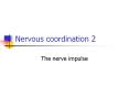 Nervous coordination 2 PowerPoint PPT Presentation