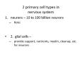 2 primary cell types in nervous system PowerPoint PPT Presentation