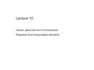 Genes, genomes and chromosomes