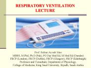 Prof. Sultan Ayoub Meo