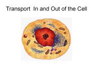 Transport In and Out of the Cell