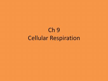 Ch 9 Cellular Respiration