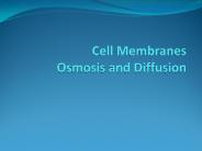 Cell%20Membranes%20Osmosis%20and%20Diffusion