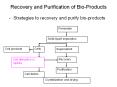 Recovery and Purification of Bio-Products PowerPoint PPT Presentation